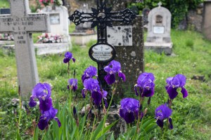 Miguel Angel Capapé-Fuencalderas-2015 (158)