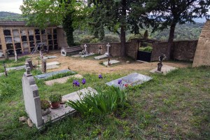 Miguel Angel Capapé-Fuencalderas-2015 (160)