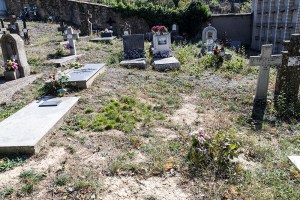 Miguel Angel Capapé-Fuencalderas-2015 (163)