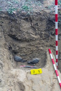 Miguel Angel Capapé-Fuencalderas-2015 (188)