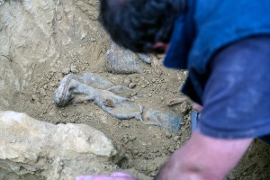 Miguel Angel Capapé-Fuencalderas-2015 (201)