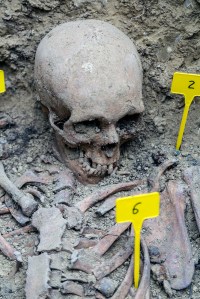 Miguel Angel Capapé-Fuencalderas-2015 (213)