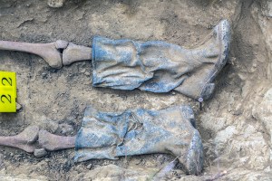 Miguel Angel Capapé-Fuencalderas-2015 (232)