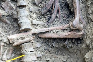 Miguel Angel Capapé-Fuencalderas-2015 (242)