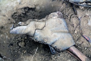 Miguel Angel Capapé-Fuencalderas-2015 (244)