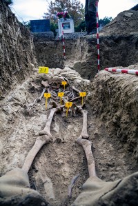 Miguel Angel Capapé-Fuencalderas-2015 (245)