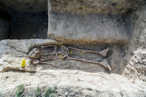 Miguel Angel Capapé-Fuencalderas-2015 (254)