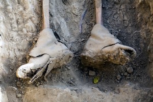 Miguel Angel Capapé-Fuencalderas-2015 (259)