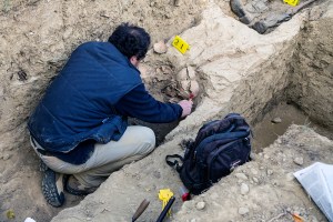 Miguel Angel Capapé-Fuencalderas-2015 (269)