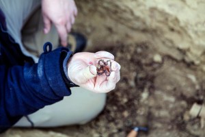 Miguel Angel Capapé-Fuencalderas-2015 (281)