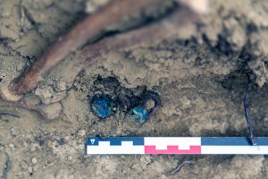 Miguel Angel Capapé-Fuencalderas-2015 (282)