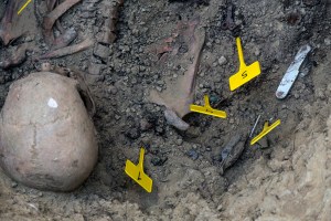 Miguel Angel Capapé-Fuencalderas-2015 (284)