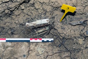 Miguel Angel Capapé-Fuencalderas-2015 (287)