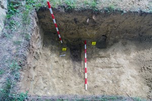 Miguel Angel Capapé-Fuencalderas-2015 (52)