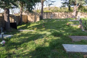 Miguel Angel Capapé-Fuencalderas-2015 (7)