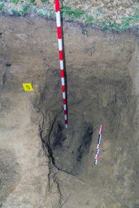 Miguel Angel Capapé-Fuencalderas-2015 (73)