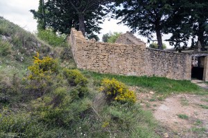 Miguel Angel Capapé-Fuencalderas-2015 (91)