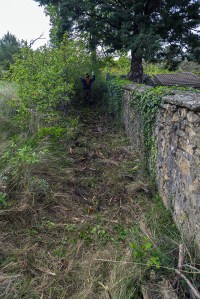 Miguel Angel Capapé-Fuencalderas-2015 (94)