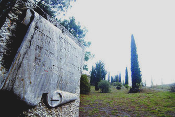 0000361055_560x560_jpg000