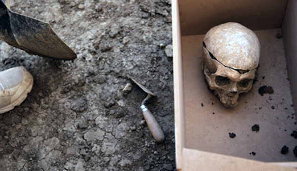 1246239156003craneodn