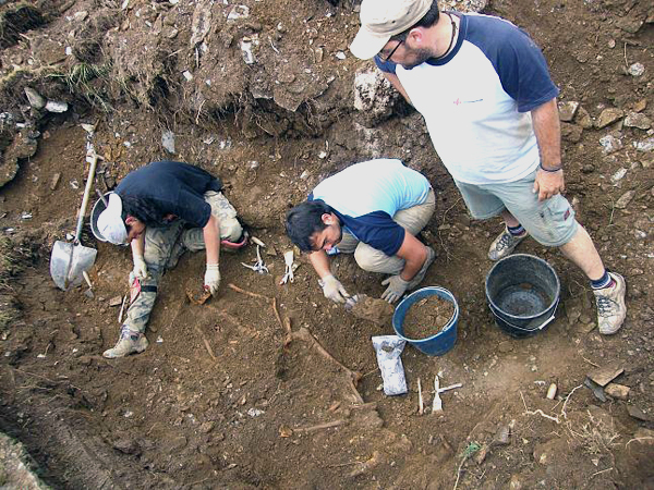 2009-06-26_IMG_2009-06-19_00.06.03__1351378