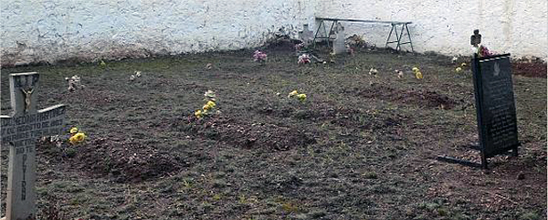 2009-07-06_IMG_2009-06-28_23.15.55__BEN-Fosas.jpg 2009-07-06_IMG_2009-06-28_23.15.55__BEN-Fosas.jpg