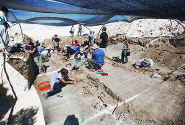 7B759D7A-1A64-968D-59B18B5DDA270853