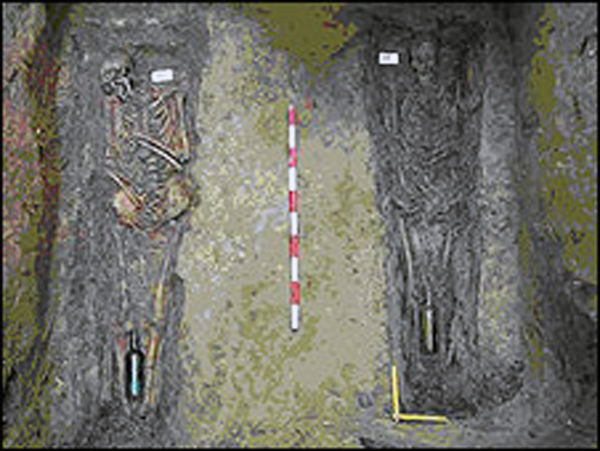 090812145459_sp_fosas_226