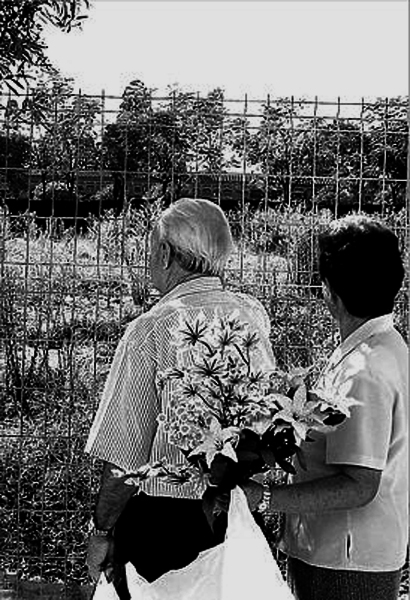 2009-08-24_IMG_2009-08-17_00.01.08__LV013CV001.eps