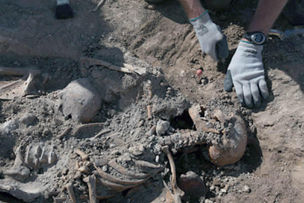 1251765701195excavaciomdn