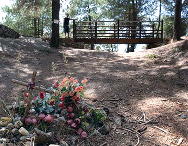 1253660131206lorcadn