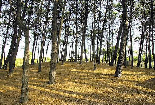 2009-10-04_IMG_2009-09-27_02.25.56__2871779