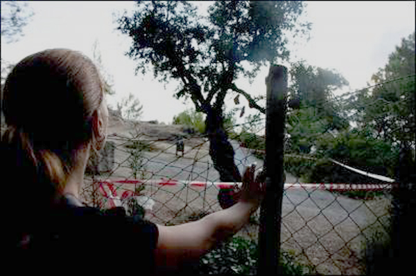 1254755557877lorcagrandedn