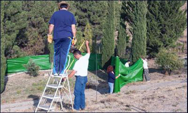 1256003154058lorcadn