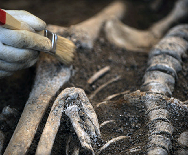 1267912797746huesosdn