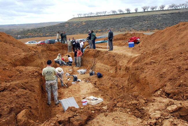 A.R.I.C.O - FOTOGRAFIAS MIGUEL ANGEL CAPAPÉ (3)