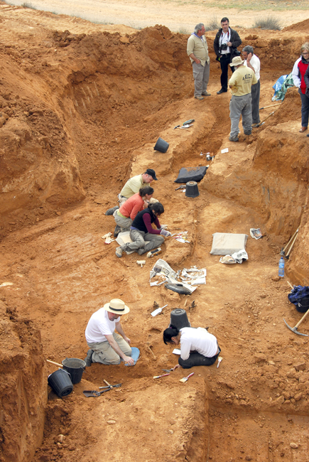 A.R.I.C.O - FOTOGRAFIAS MIGUEL ANGEL CAPAPÉ (5)