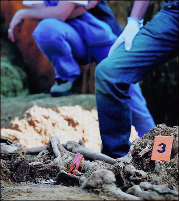 1273613785267_B2073843-2913-4CEB-9C4D-58784EF4746E_dn