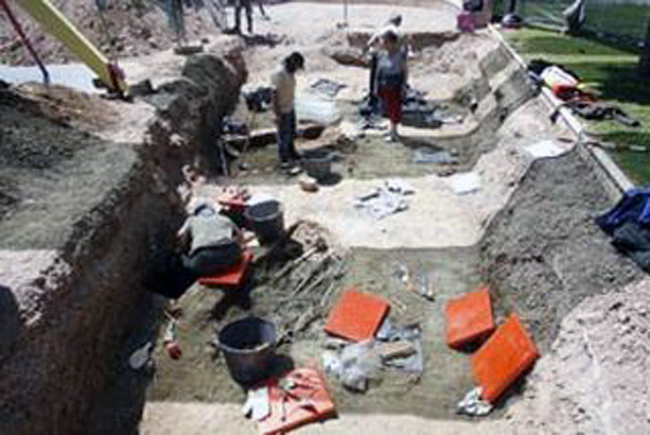 8D6B3150-9331-DDA7-D9BEDBC7A34EFB81