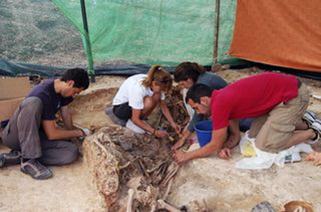 6B746480-F207-0A78-18EBC524B64FD8AB