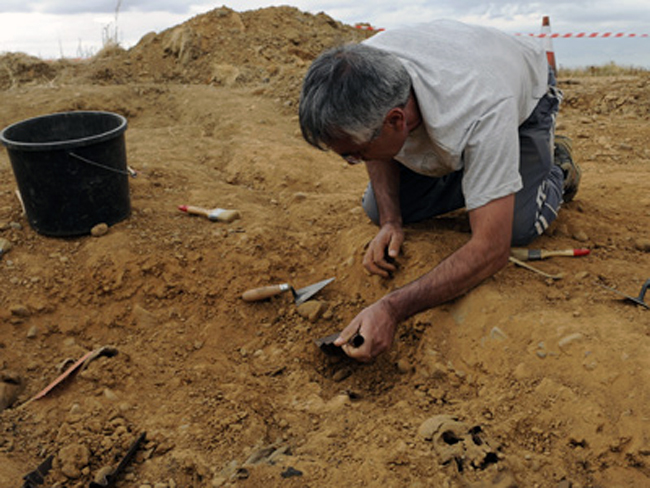 1287870858679fosasdn