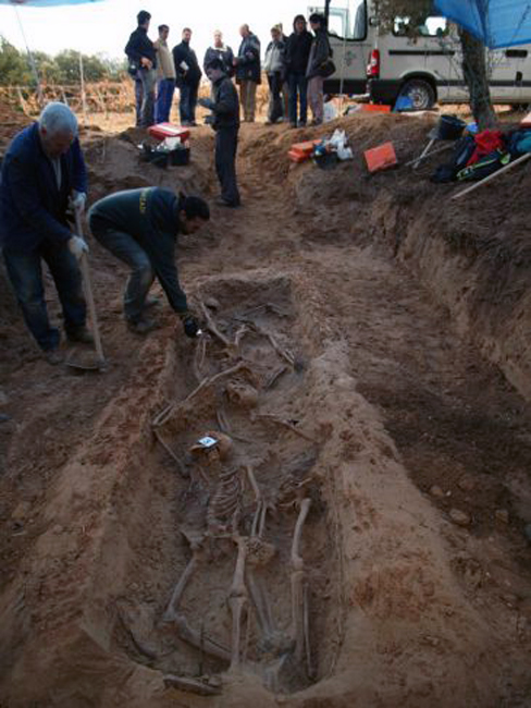 20101031173334-365xXx80