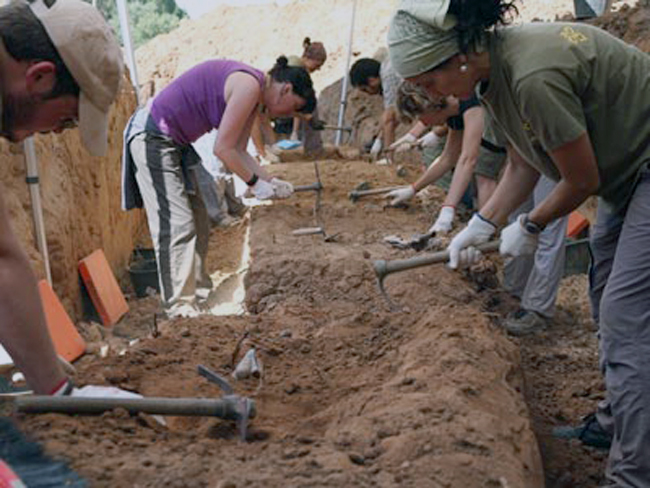 1309807520905fosa-buenadn