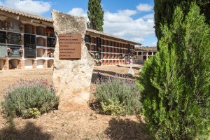 M. A. Capapé - 7 - 29 de junio de 2014