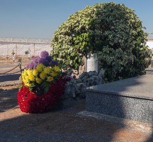 Miguel Angel Capapé Garro-04 de septiembre de 2014-19