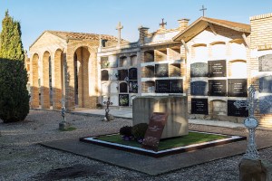 Miguel Angel Capapé Garro-26 de diciembre de 2014-11