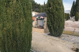 Miguel Angel Capapé Garro-27 de enero de 2015-11