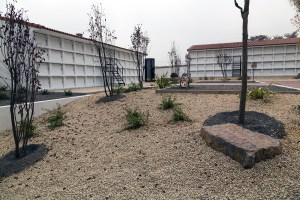 Miguel Angel Capapé Garro-29 de octubre de 2014-14