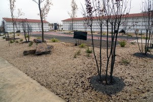 Miguel Angel Capapé Garro-29 de octubre de 2014-16