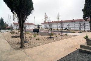 Miguel Angel Capapé Garro-29 de octubre de 2014-17